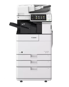 4.webp