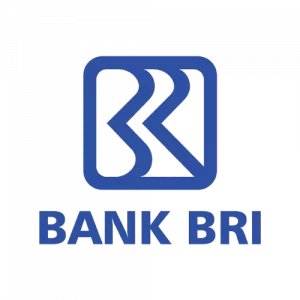 Brilogo 300x300 1.webp